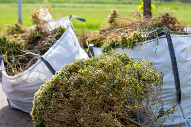 Best Commercial Cleanout Services  in Broadview, IL